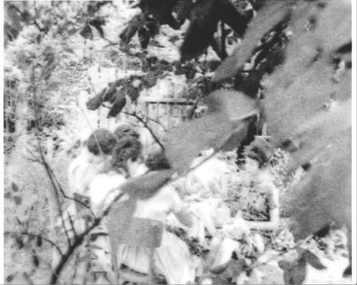 Зображення до Весілля в робітничій родині, телесюжет Львівського телебачення 1964 року