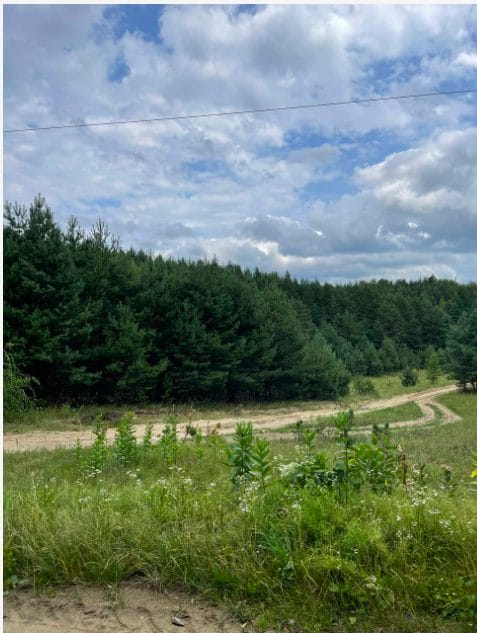 Зображення до Повсякдення і насильство: історія волинського села Зелений Дуб часу Другої світової війни