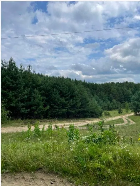 Зображення до Повсякдення і насильство: історія волинського села Зелений Дуб часу Другої світової війни